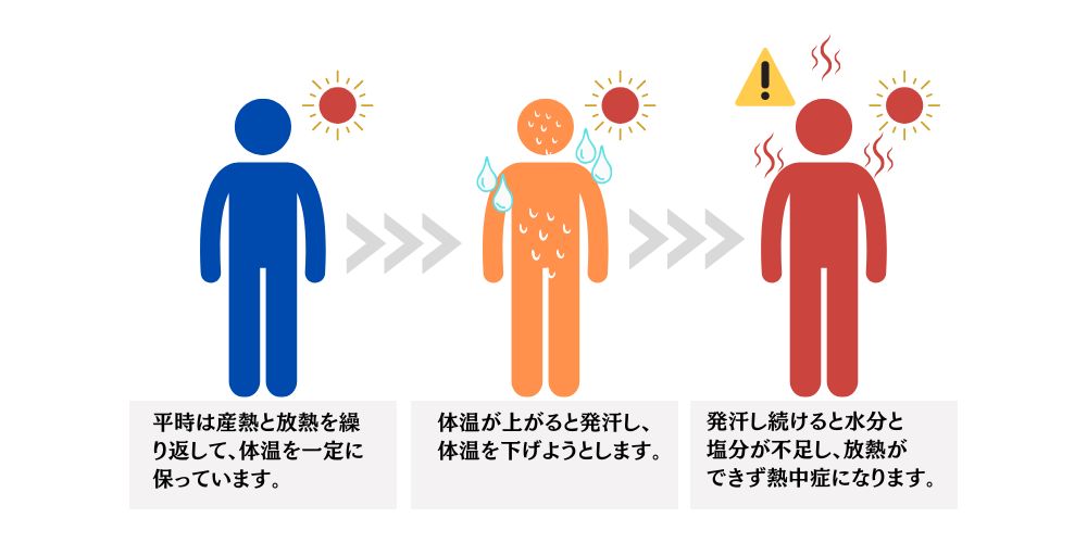 熱中症のメカニズム